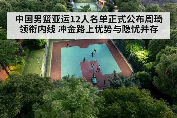 Chinese basketball center