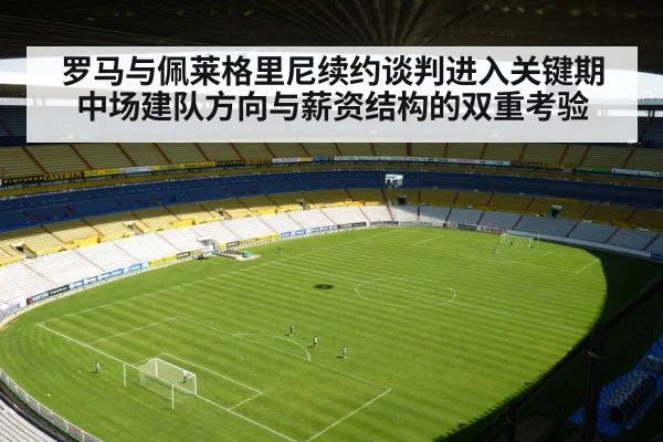 football stadium pitch wide view