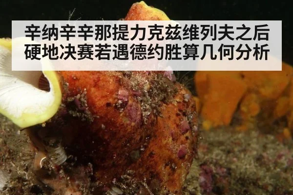 辛纳辛辛那提力克兹维列夫之后 硬地决赛若遇德约胜算几何分析